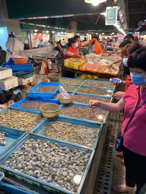 5月1日起溫州全面進入海洋伏季休漁期 還能享受哪些海鮮與養殖水產品？